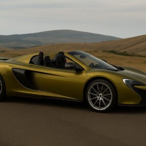 Seitenansicht McLaren 675LT Spider im Schwarzwald