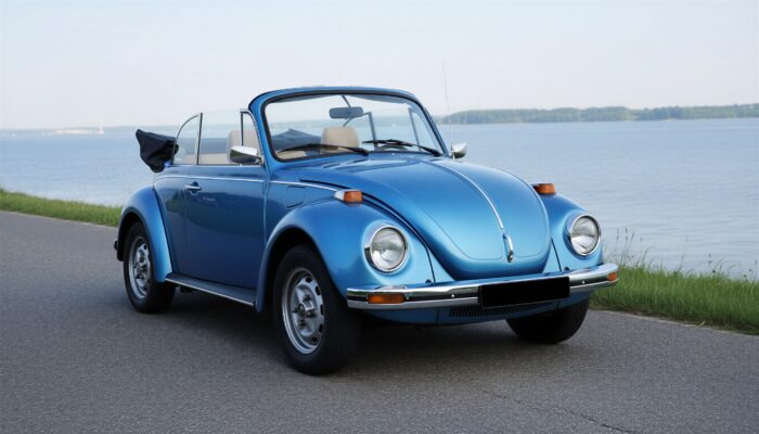 VW Käfer mieten in Flensburg