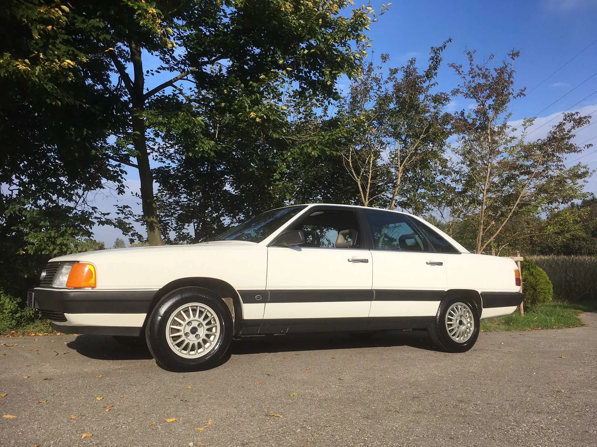 Audi 100 Seitenansicht