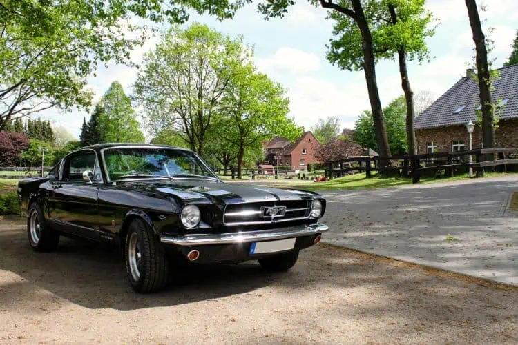 Ford Mustang 1965 Fastback GT mieten in Dortmund