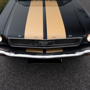 Front vom Ford Mustang Fastback in Hamburg