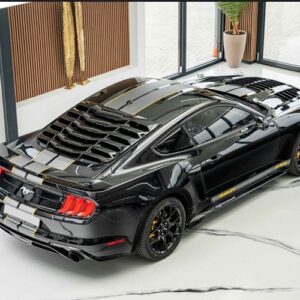 Topansicht Ford Mustang 2.3 Ecobooster in Braunschweig