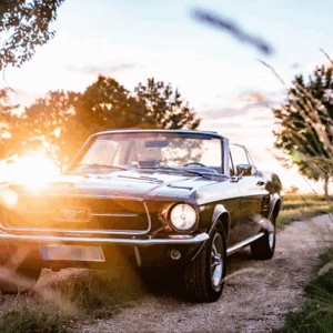 Ford Mustang Cabrio mieten in Stuttgart