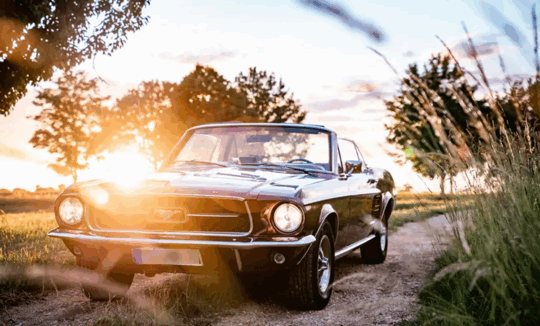 Ford Mustang Cabrio mieten in Stuttgart