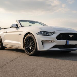 Ford Mustang 5.0 V8 450 PS Cabrio Dortmundt Hero