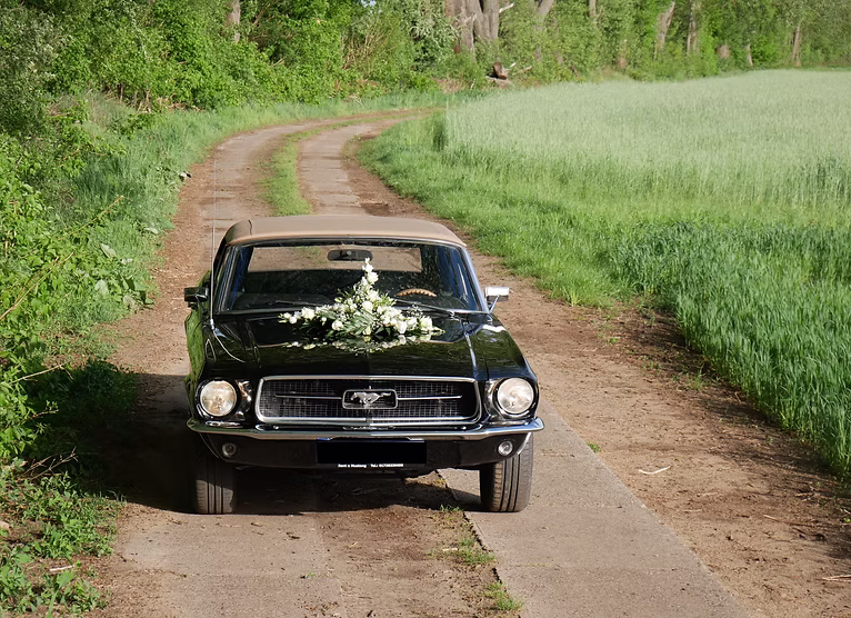 Ford Mustang V8 Cabriolet vorne
