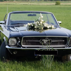 Ford Mustang V8 Cabriolet mieten in Berlin hero