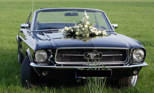 Ford Mustang V8 Cabriolet mieten in Berlin hero