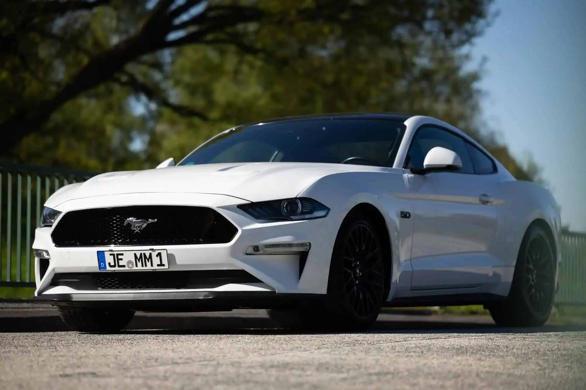 Ford Mustang GT mieten in Hamburg